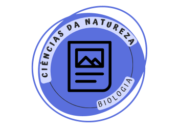 Matriz elétrica brasileira