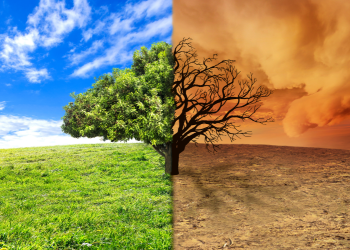 Aquecimento global pode afetar Amazônia de forma irreversível