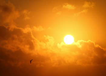 O planeta está esquentando!