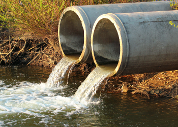 Você sabe o que é biorremediação?