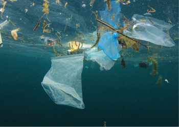 Por que eu e você devemos nos preocupar com os microplásticos?