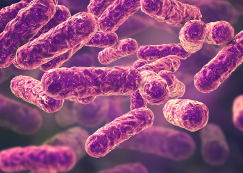 Resistência bacteriana: uma ameaça à saúde global